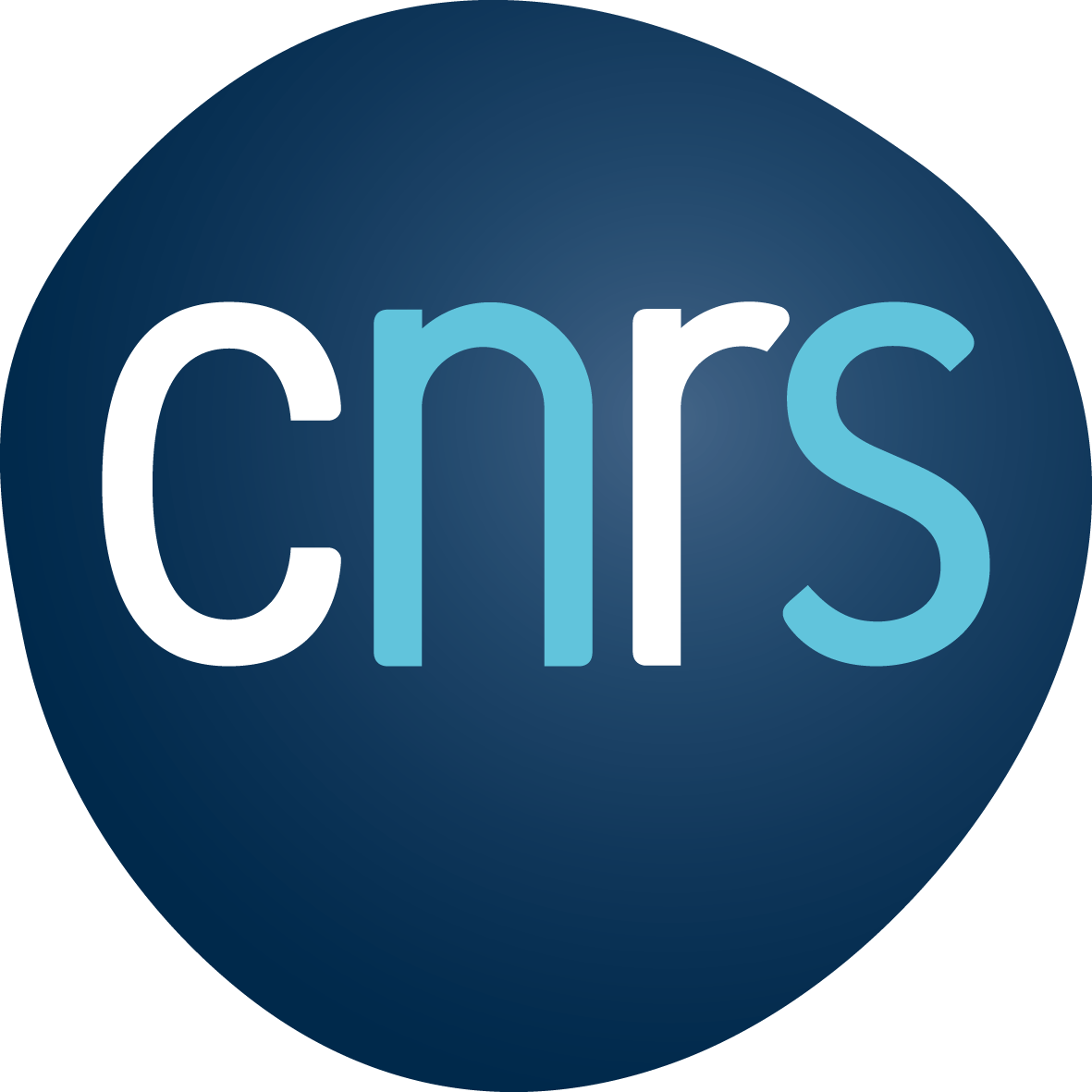 logo CNRS 2019 RVB