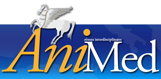 logo aniMed